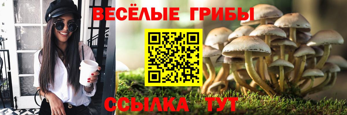 Псилоцибиновые грибы прущие грибы  где продают наркотики  Набережные Челны  Вход с VPN 